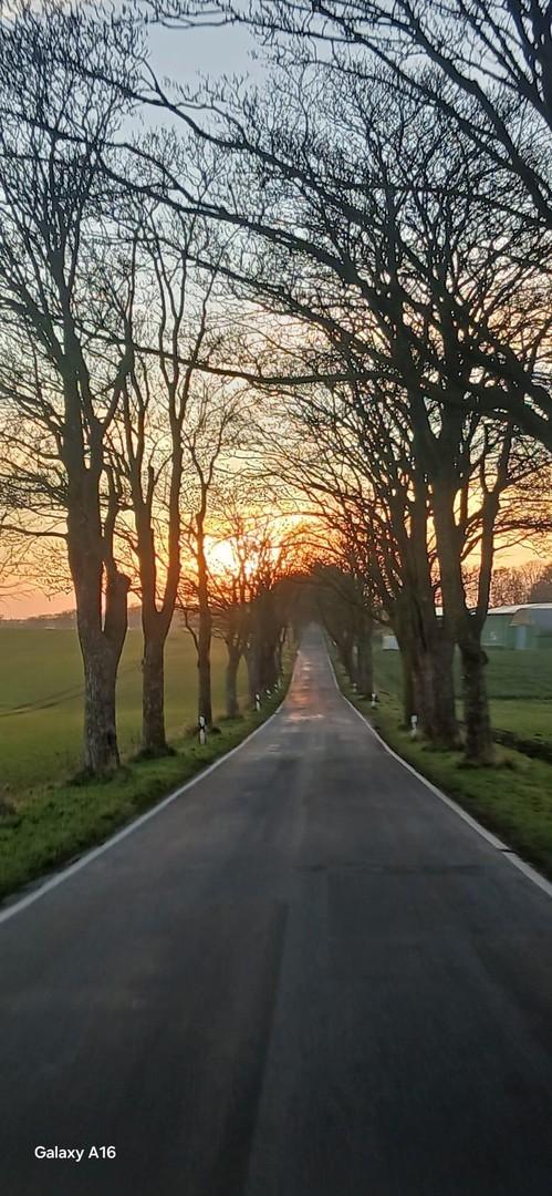 Auf dem Weg 