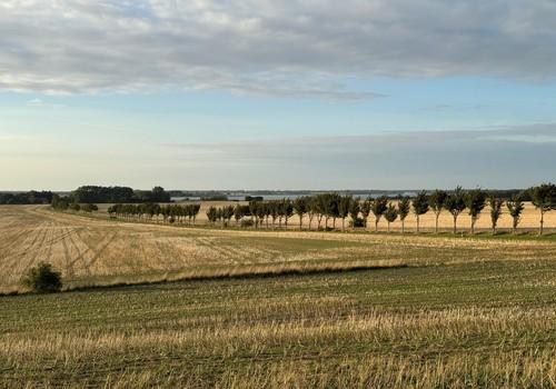 Blick unmittelbare Umgebung