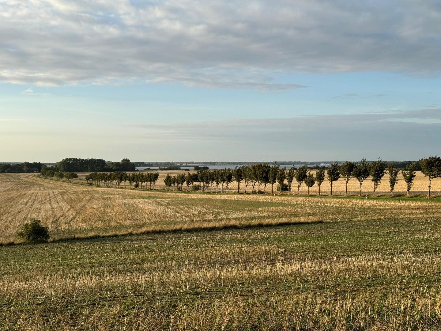 Blick unmittelbare Umgebung