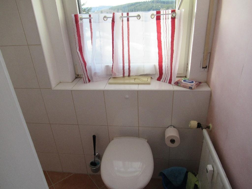 Gäste-WC-Fenster