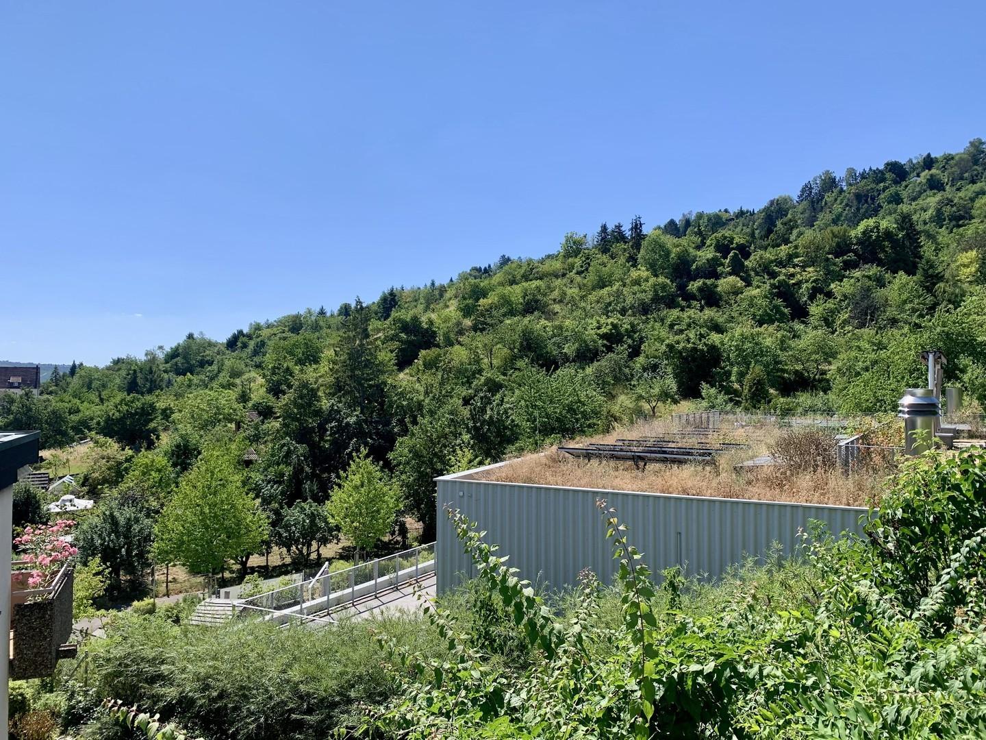 Vista