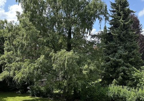 Blick ins Grüne
