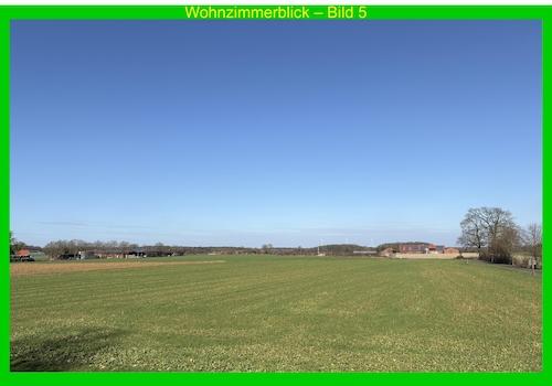 Wohnzimmerblick 5