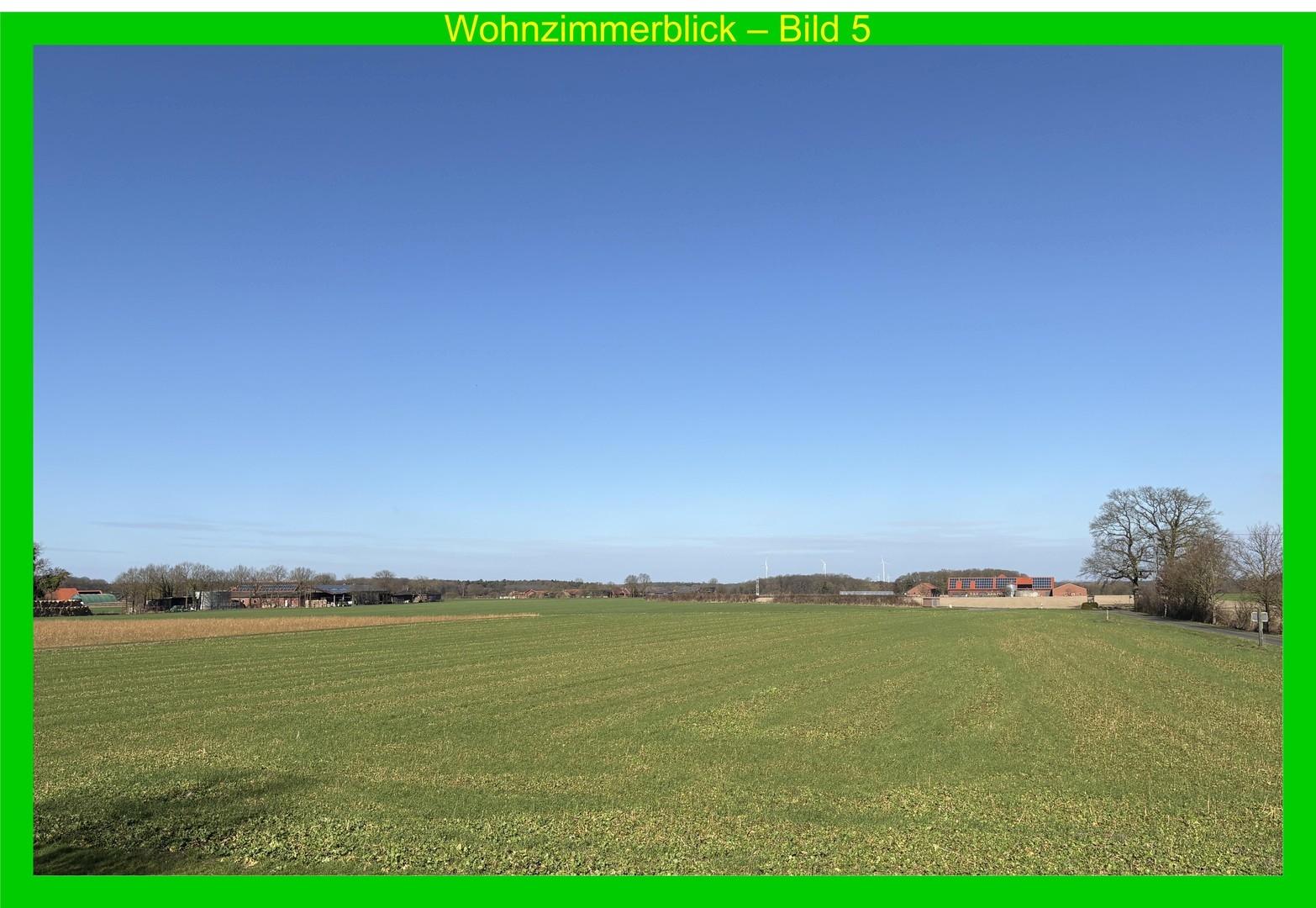 Wohnzimmerblick 5