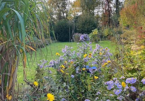 Garten Waldblick