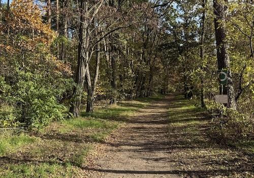 Wald - 3 Minuten 