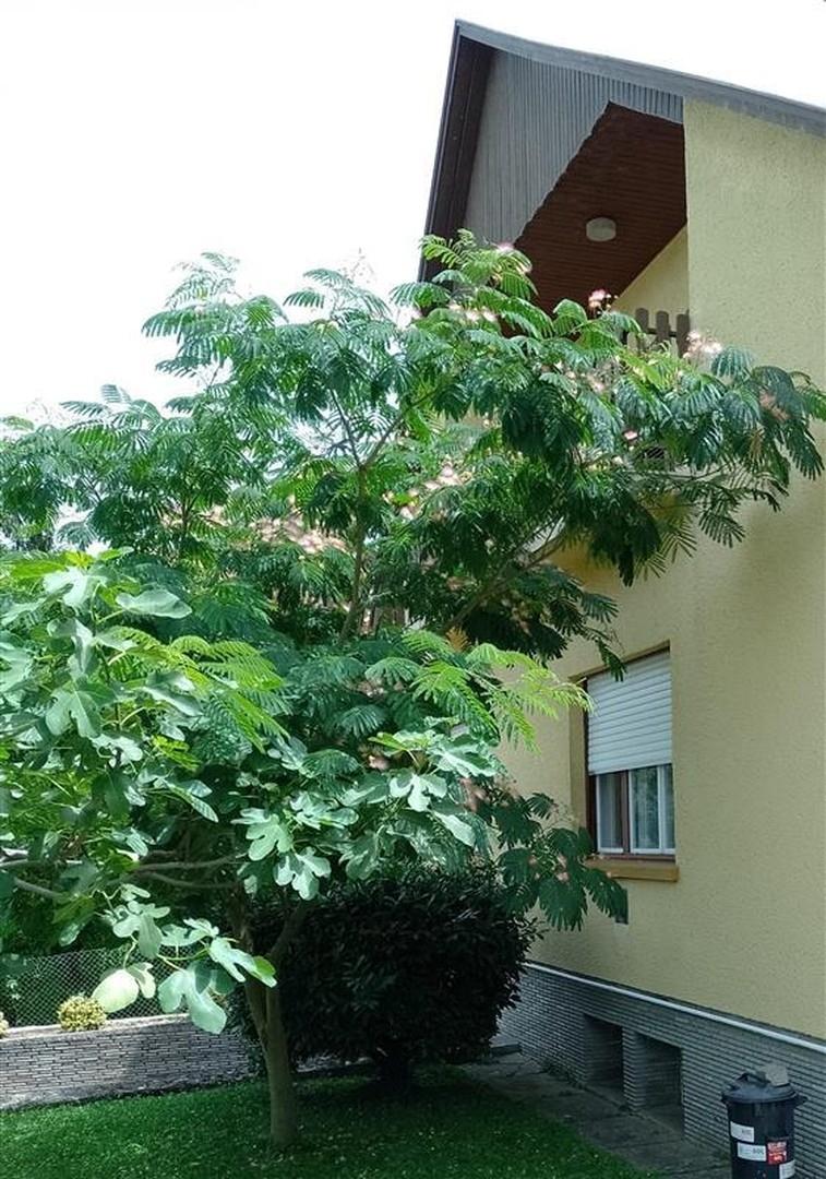 Vordersicht