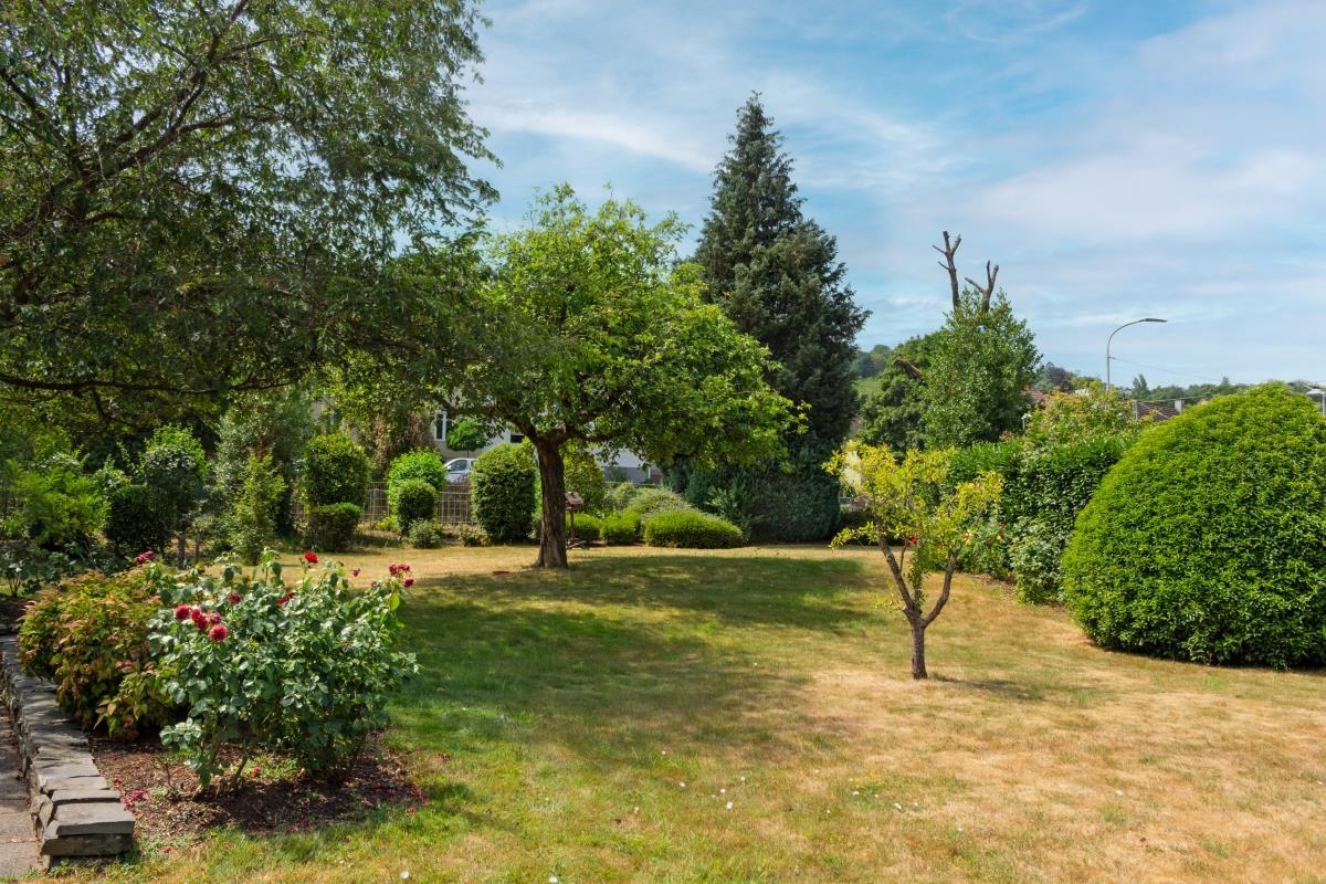 Garten 1