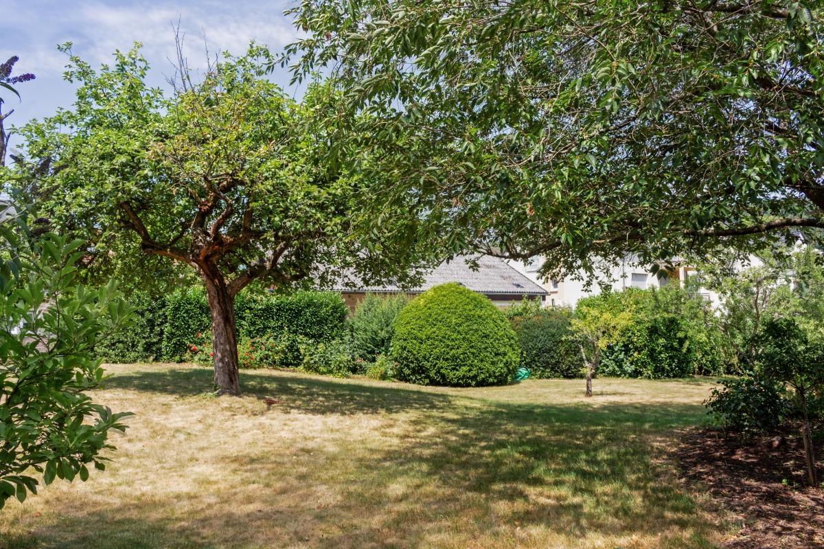 Garten 3