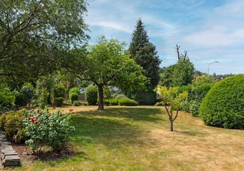 Garten 1