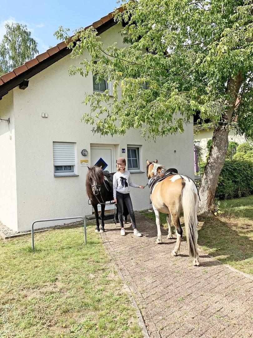 Aus der Haustür - auf's Pferd!