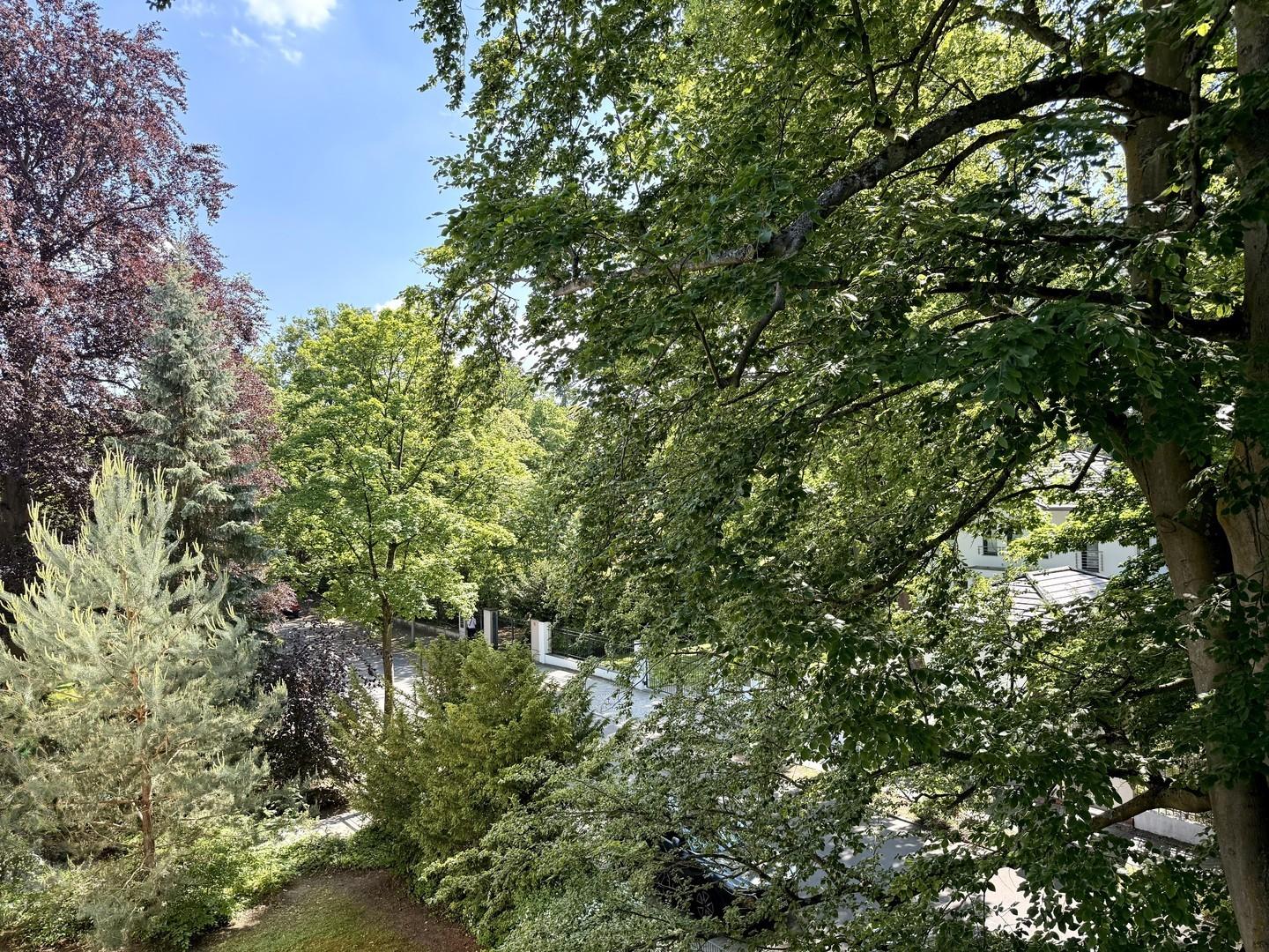 Blick ins Grüne