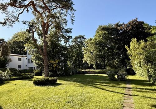 Gemeinschaftsgarten 1