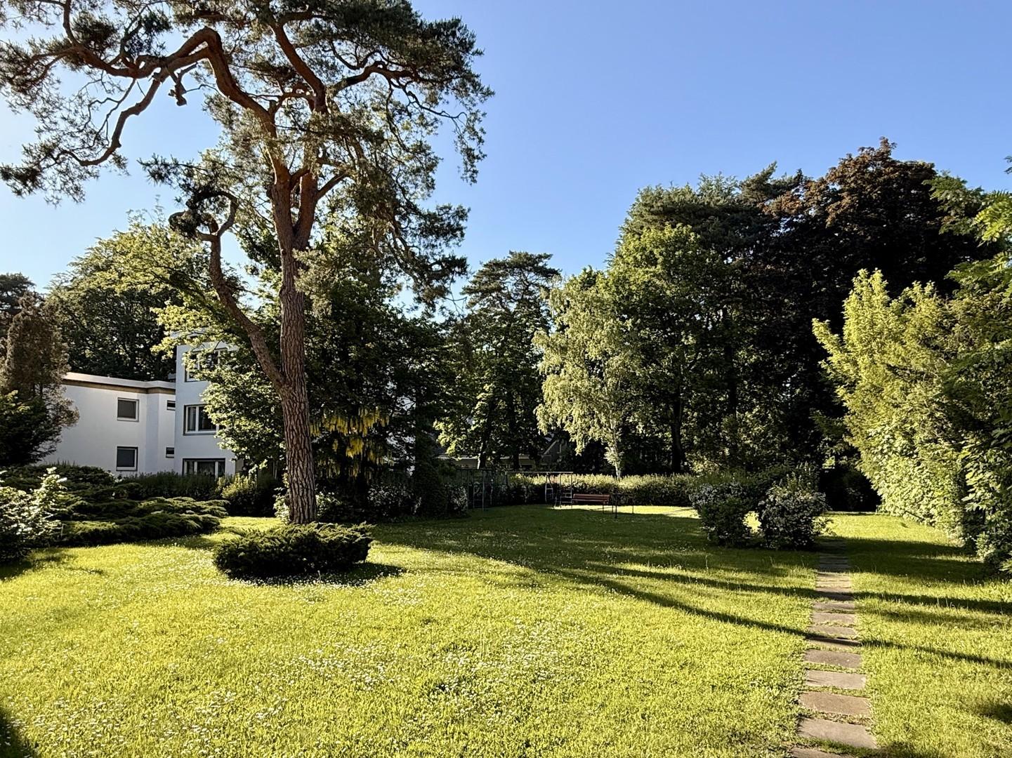 Gemeinschaftsgarten 1