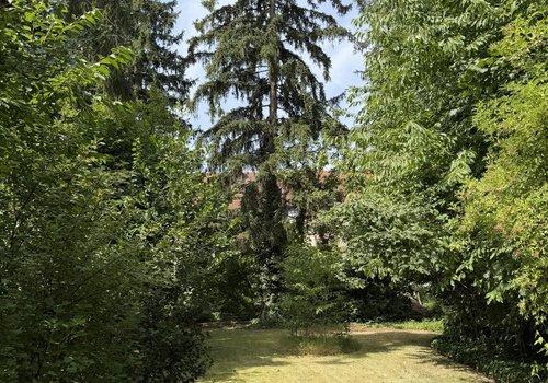 Blick in den Garten 2