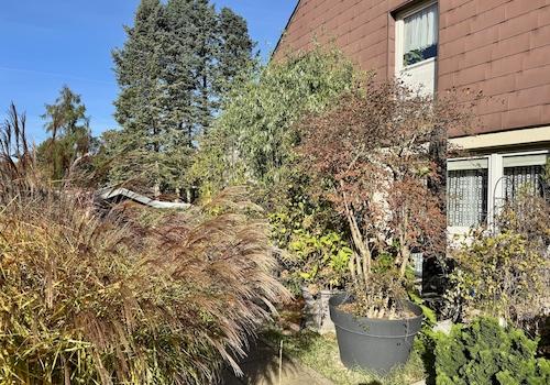 Die Terrasse
