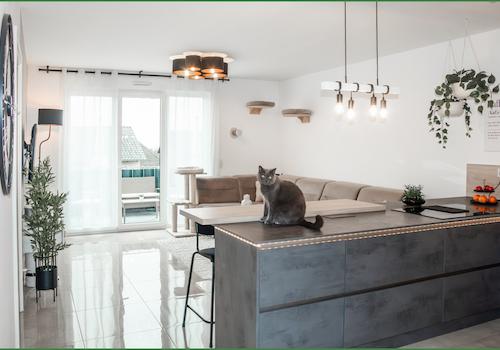 Wohnzimmer mit offener Küche