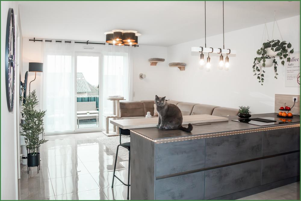 Wohnzimmer mit offener Küche