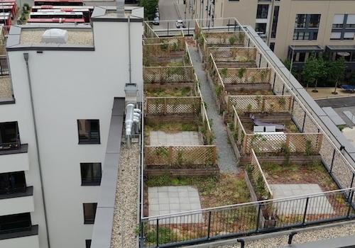 Dachgarten