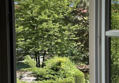 Blick zum Garten