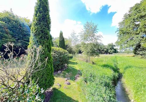 Natur pur