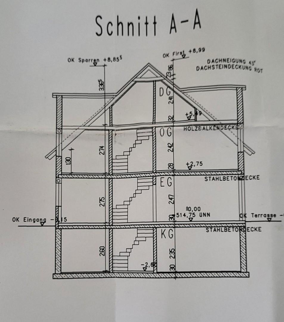 Querschnitt