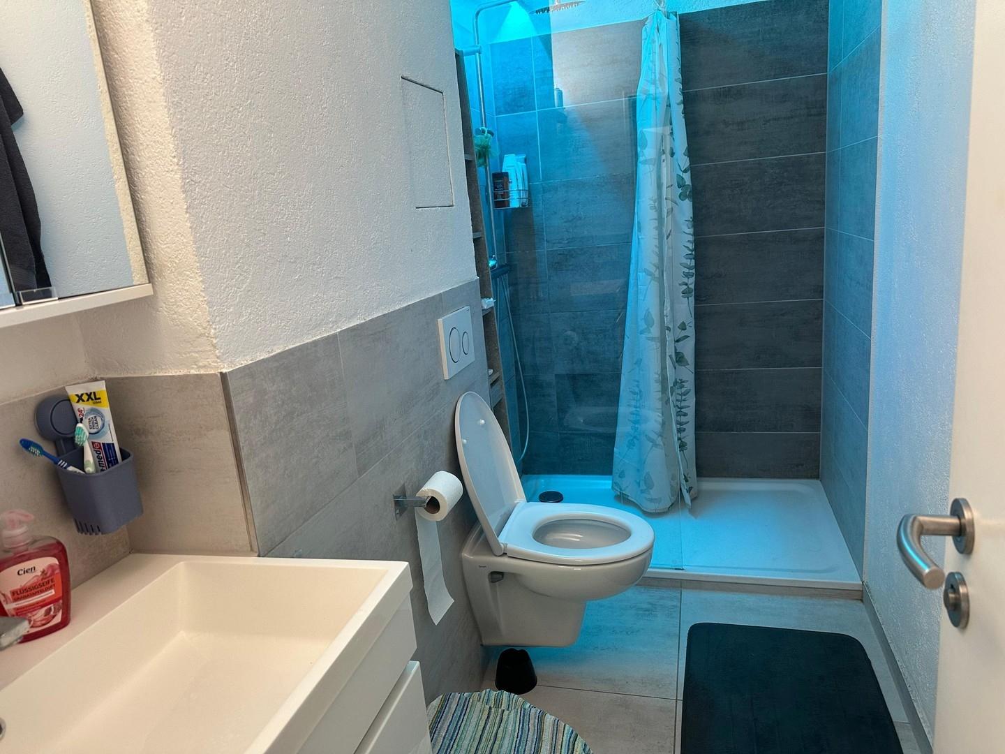 Badezimmer 2
