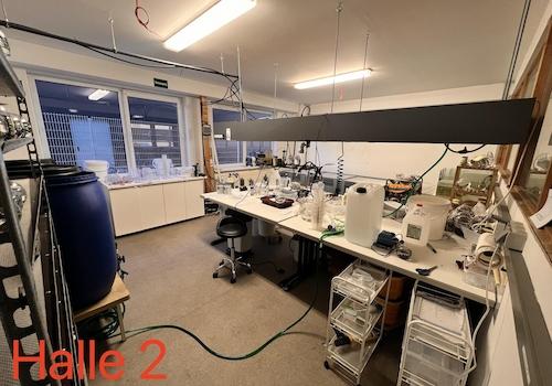 Halle 2 Labor