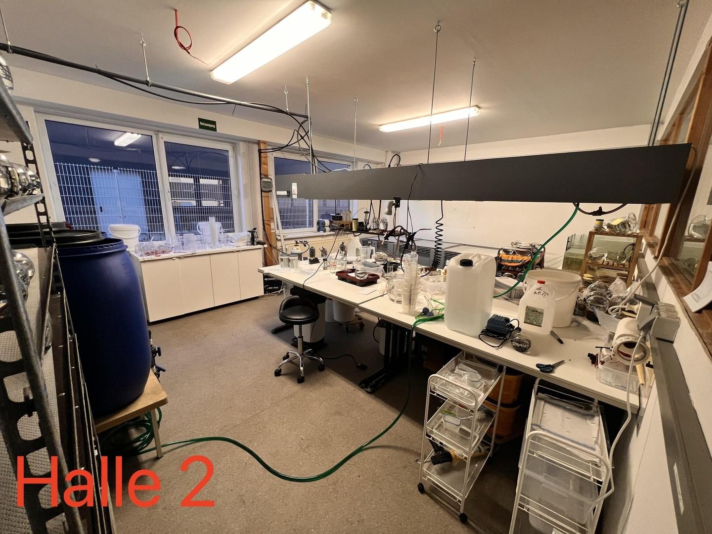 Halle 2 Labor
