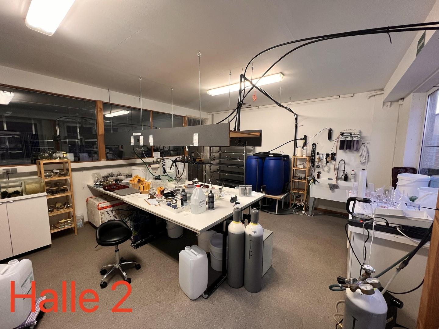 Halle 2 Labor