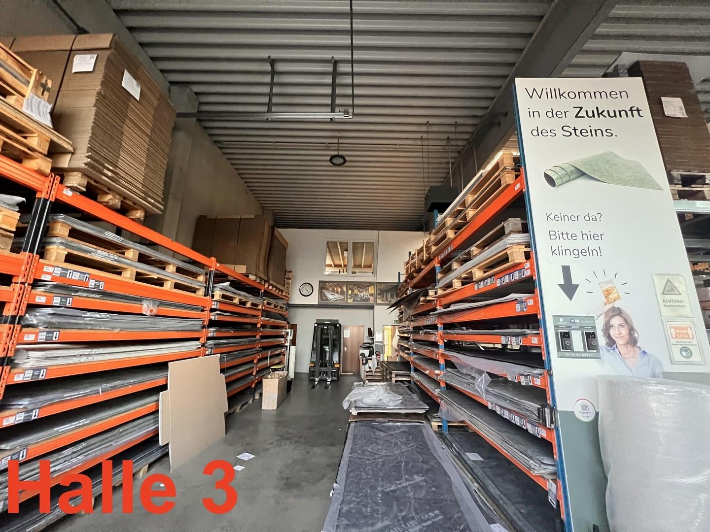 Halle 3 Hallenfläche