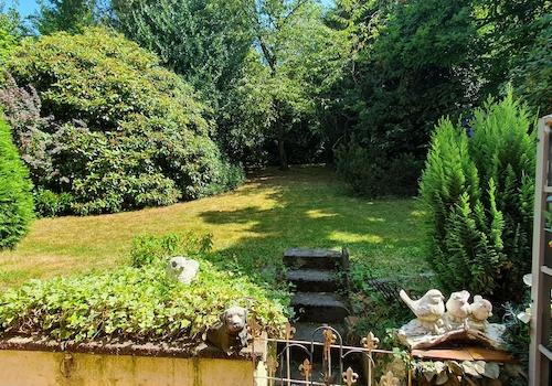Gemeinschaftlicher Garten