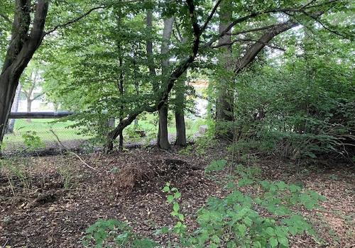 Nordgrenze - Richtung NordOst