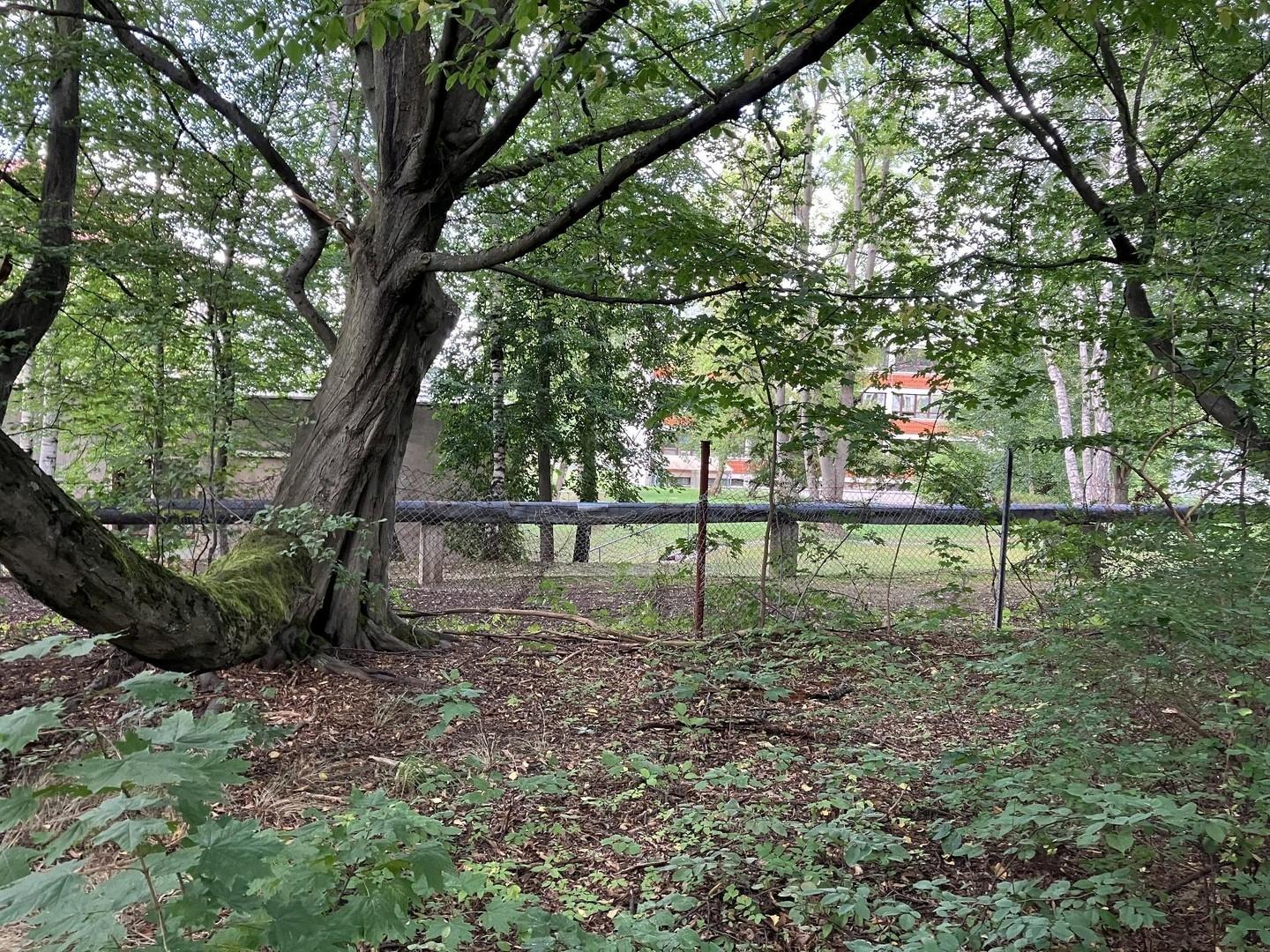 Nordgrenze - Richtung Norden