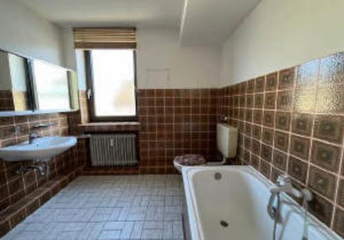 Bild5