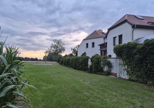 seitlicher Blick