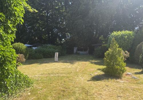 Blick in den Garten