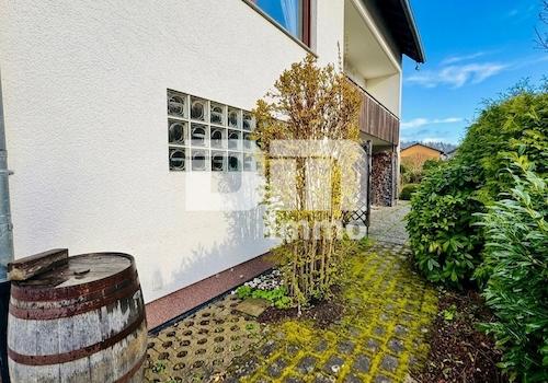 Zugang Gartenbereich / Terrasse 1