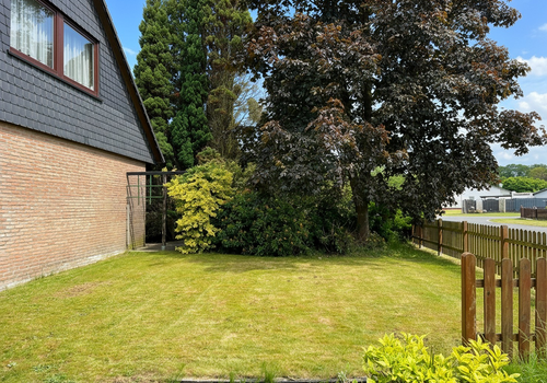 Vorgarten mit Weg zur Terasse