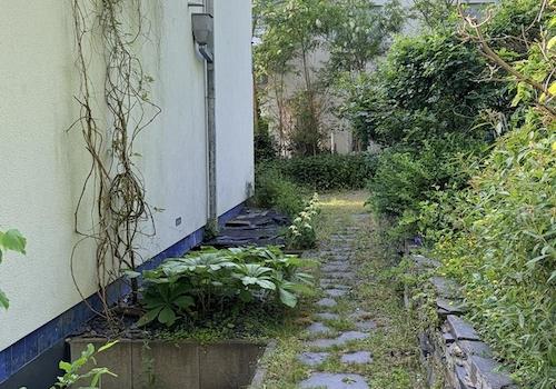 Garten Nordseite
