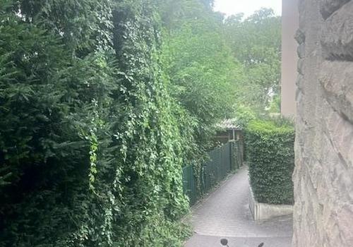 Fußweg Richtung Gebelsbergstr.