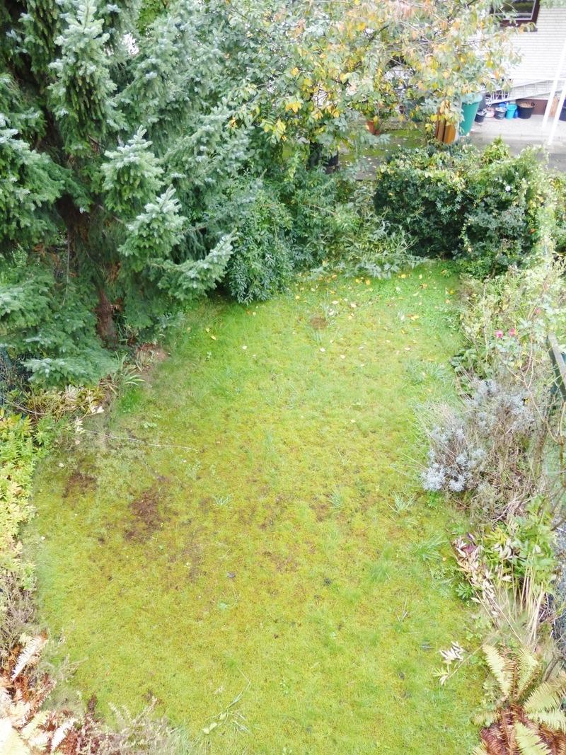 Gemeinschaftsgarten