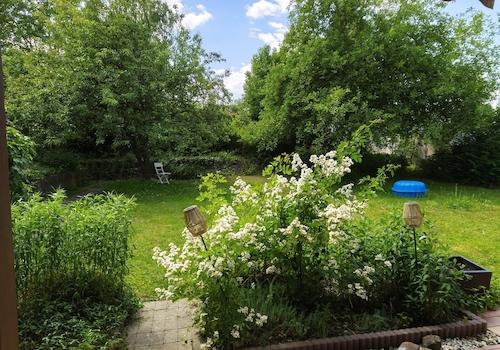 Blick in den Garten