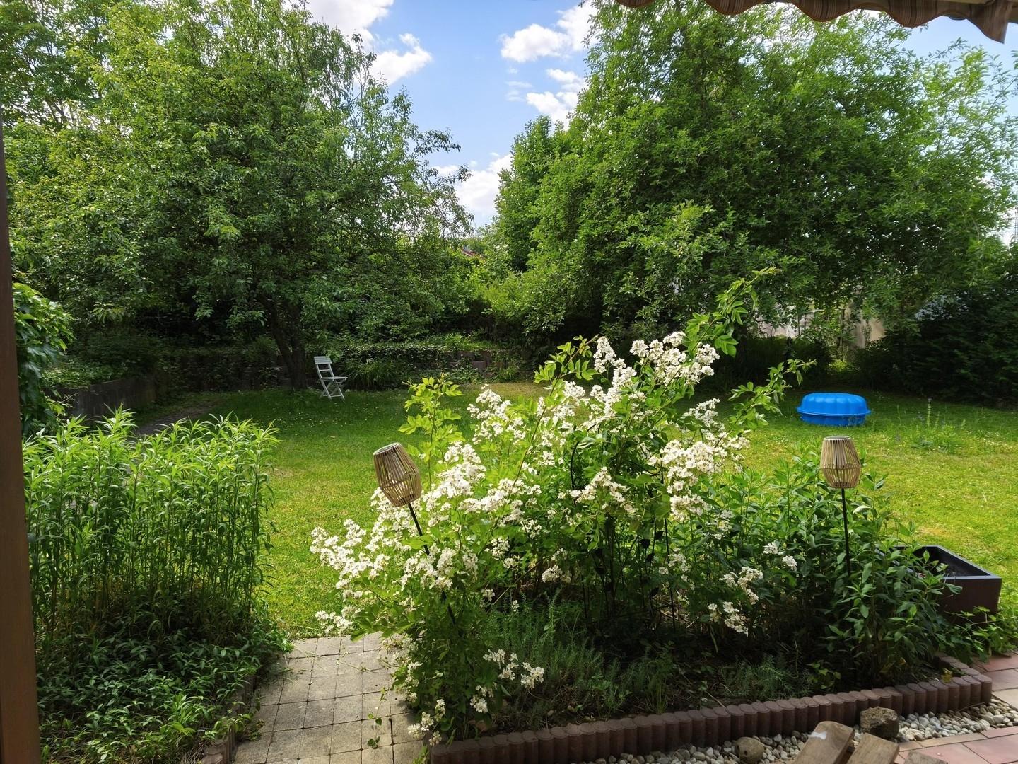 Blick in den Garten