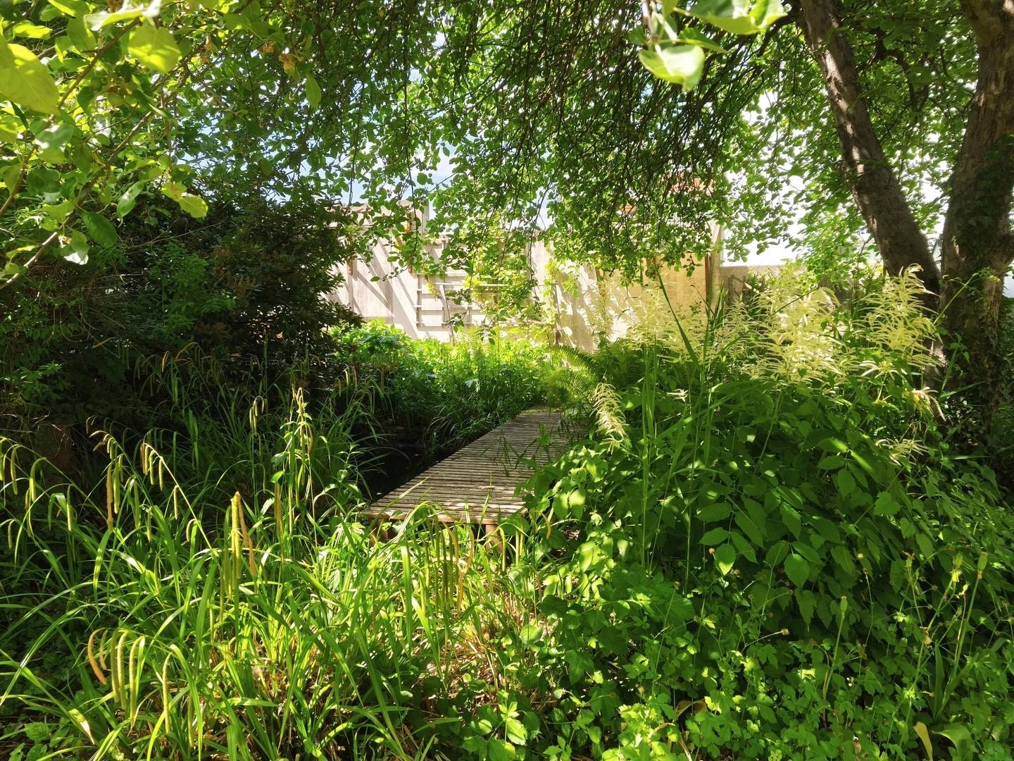 Teich