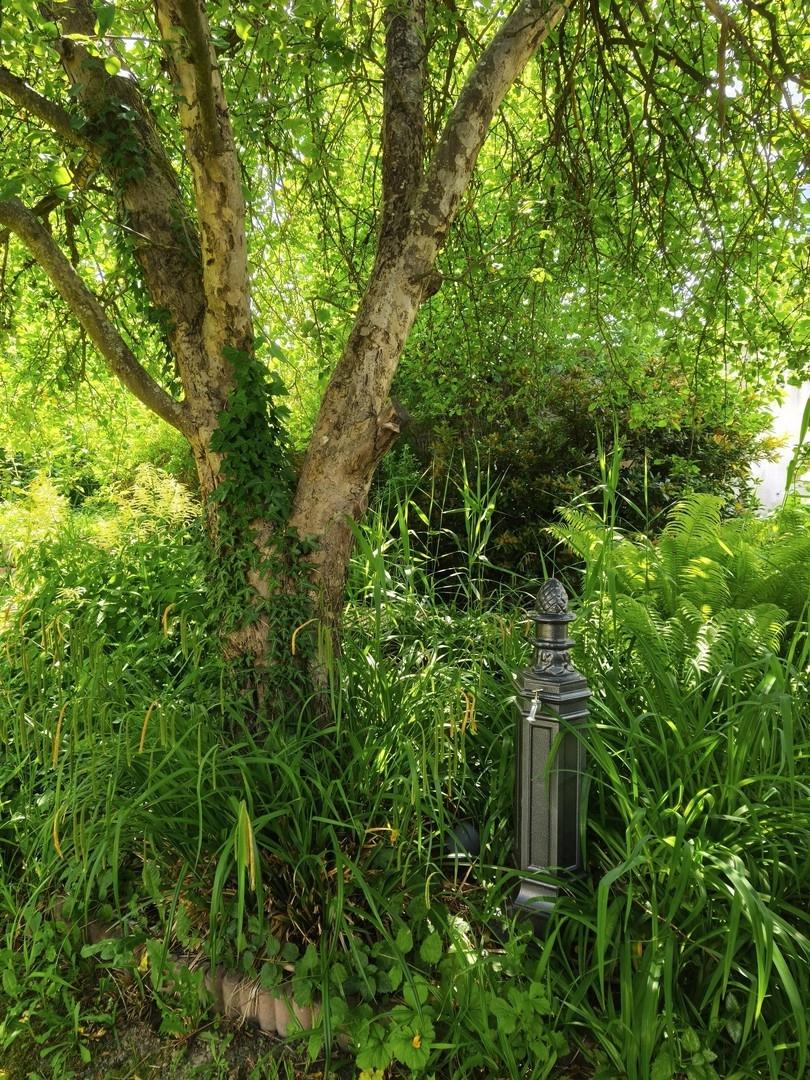 Kleines Naturparadies