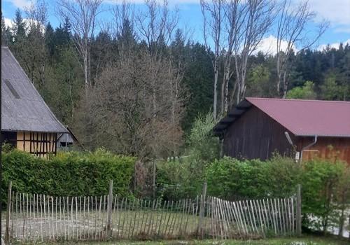 Garten / Hof