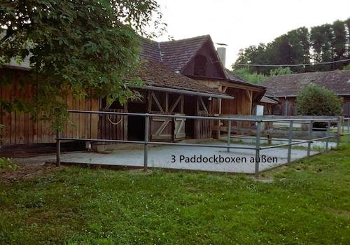 Paddocks am "Schulstall"