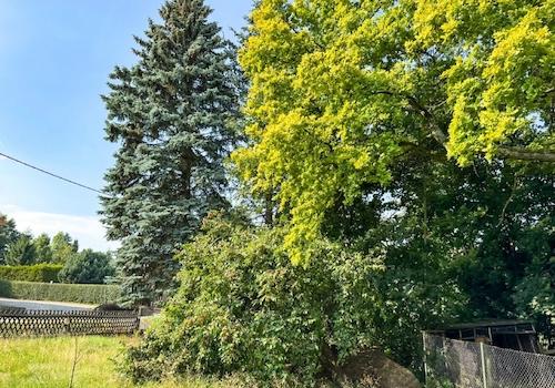 Blick aus dem Garten nach Nordwesten