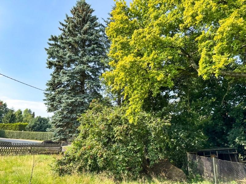 Blick aus dem Garten nach Nordwesten